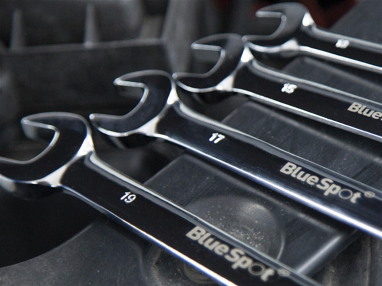 BlueSpot Tools Flexible Head Ratchet Set