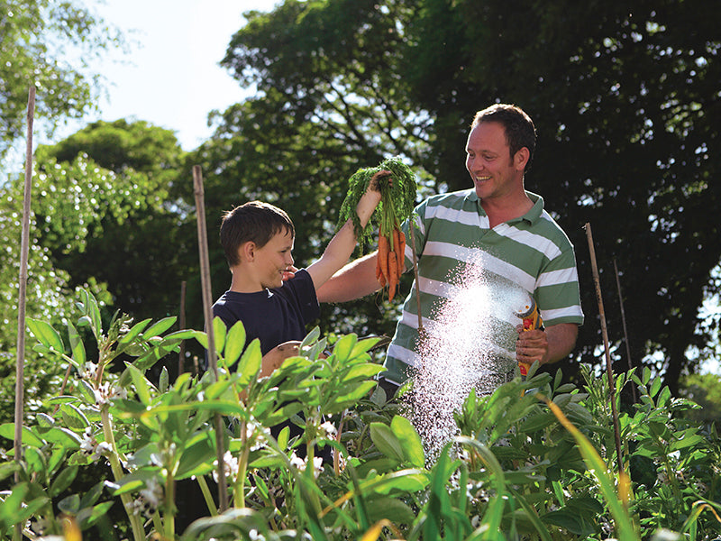 Hozelock Multi Spray Gun Plus