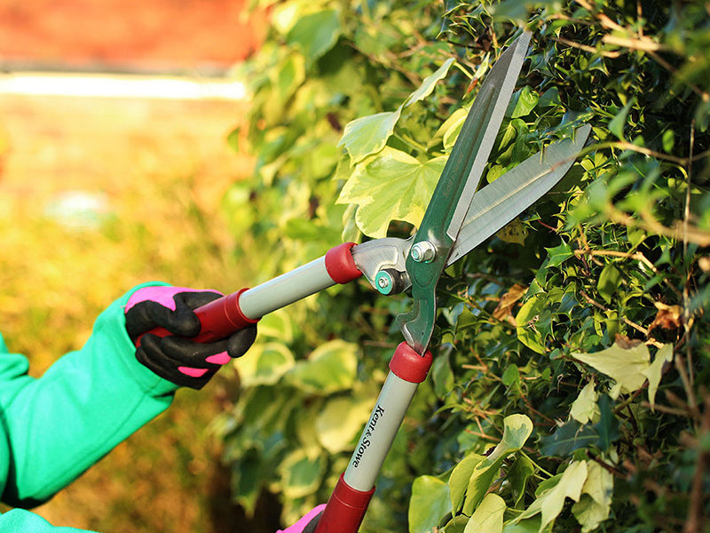 Kent & Stowe General Purpose Hedge Shears