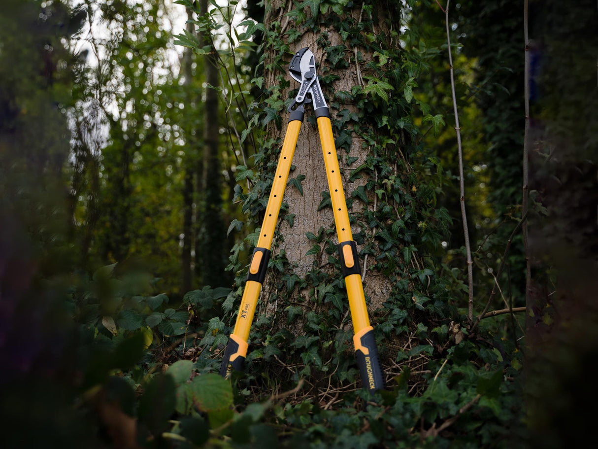 Roughneck XT Pro Telescopic Anvil Loppers 695 - 945mm