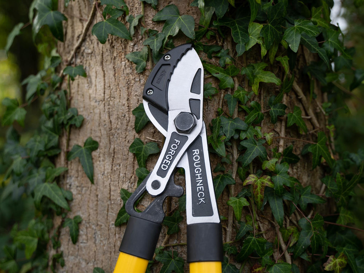 Roughneck XT Pro Telescopic Anvil Loppers 695 - 945mm