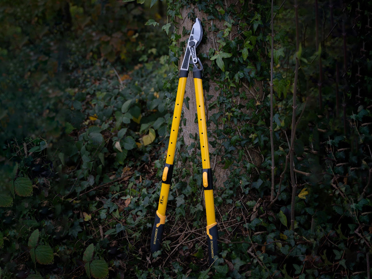 Roughneck XT Pro Telescopic Bypass Loppers 695 - 945mm