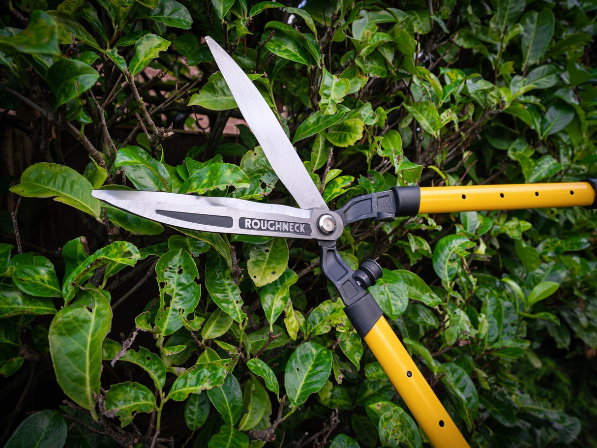 Roughneck XT Pro Telescopic Hedge Shears 700 - 895mm