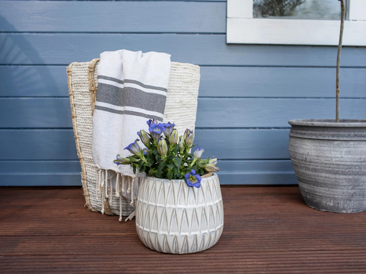 Ronseal Fence Life Plus+