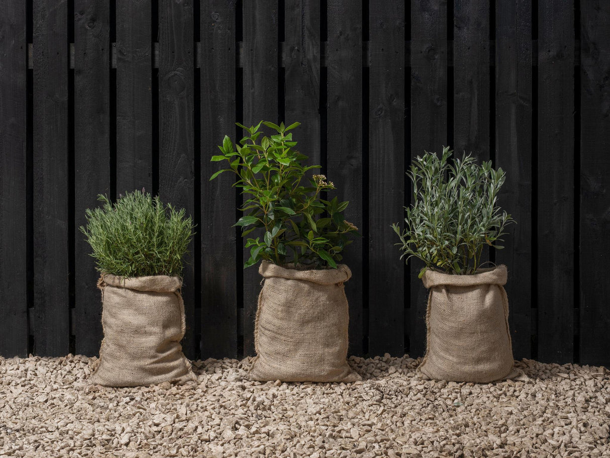 Ronseal Fence Life Plus+