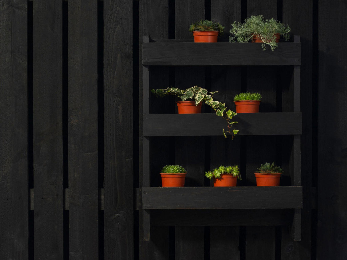 Ronseal Fence Life Plus+