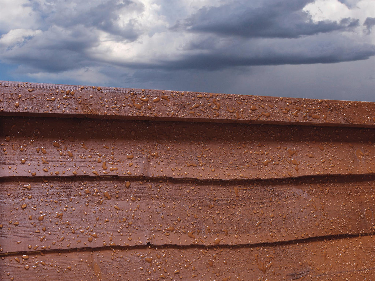 Ronseal Fence Life Plus+