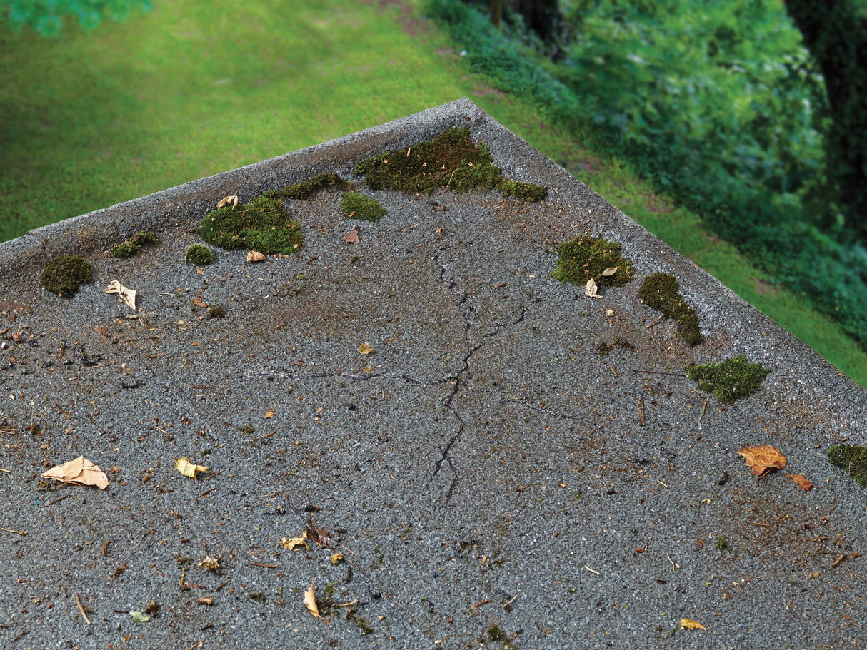 Ronseal Thompson's 10 Year Roof Seal