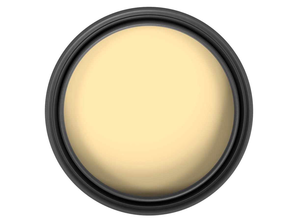 Ronseal One Coat Everywhere