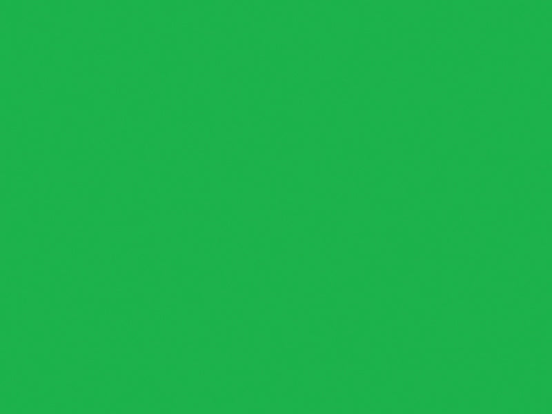 Shurtape Duck Tape® Colours & Patterns