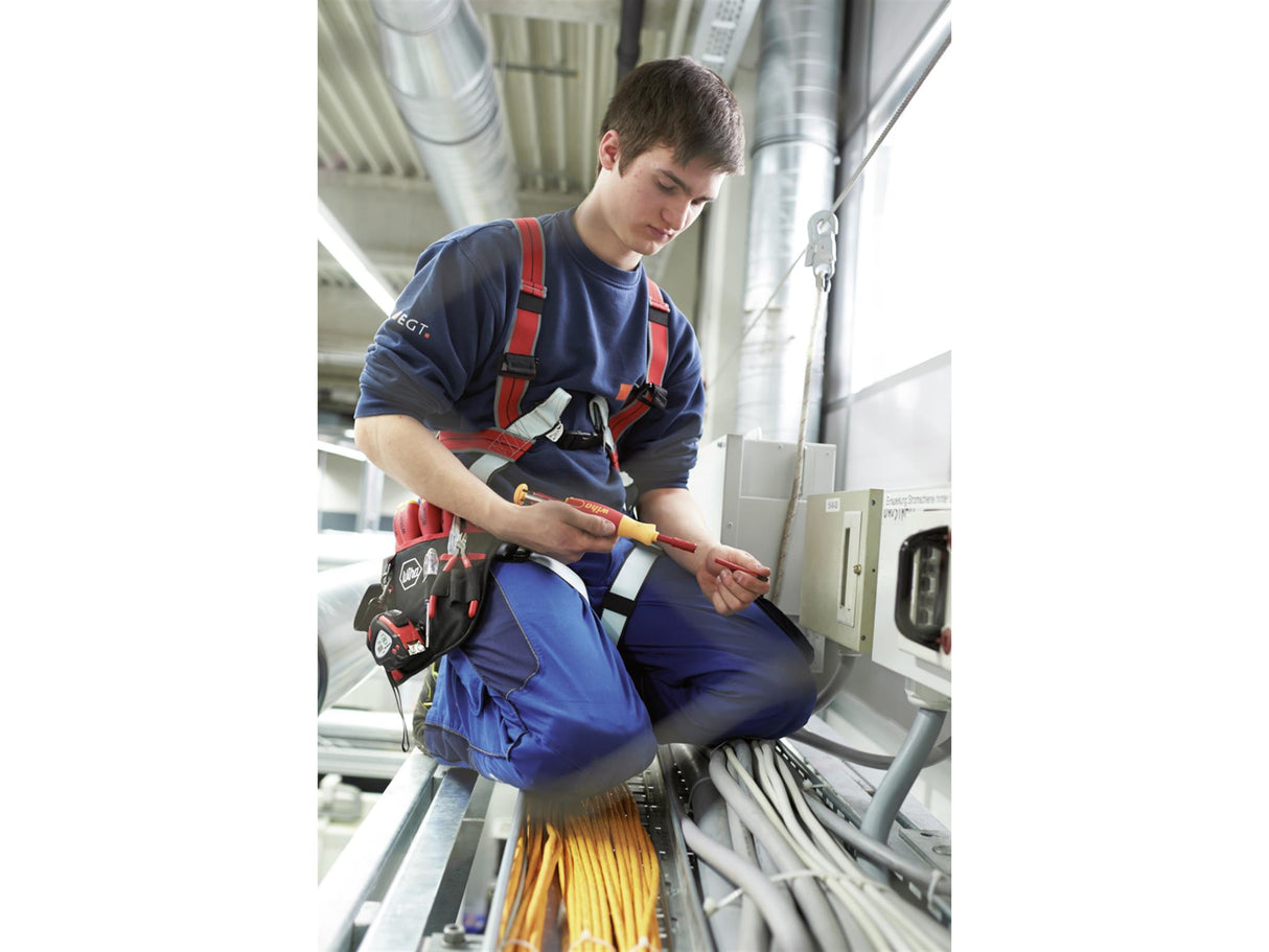 Wiha electric LiftUp Bit Magazine SL/PH/PZS Screwdriver Set, 6 Piece