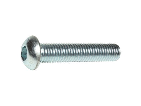 Socket Dome Screws
