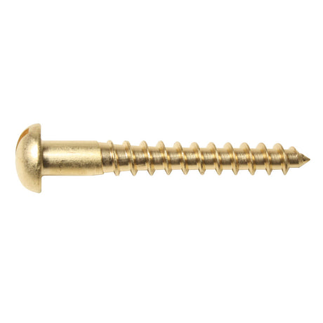 1/2 x 4S Brass Slot Rnd Woodscrew Self Colour (TIMBERMATE)  - 200 box qty