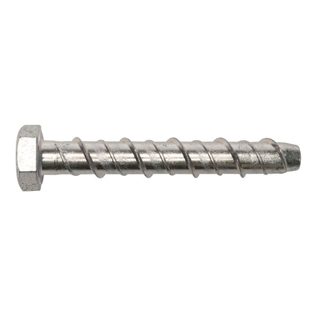 M6 x 50 Serbolt Hex Concrete Bolt Concrete Bolt  - 100 box qty