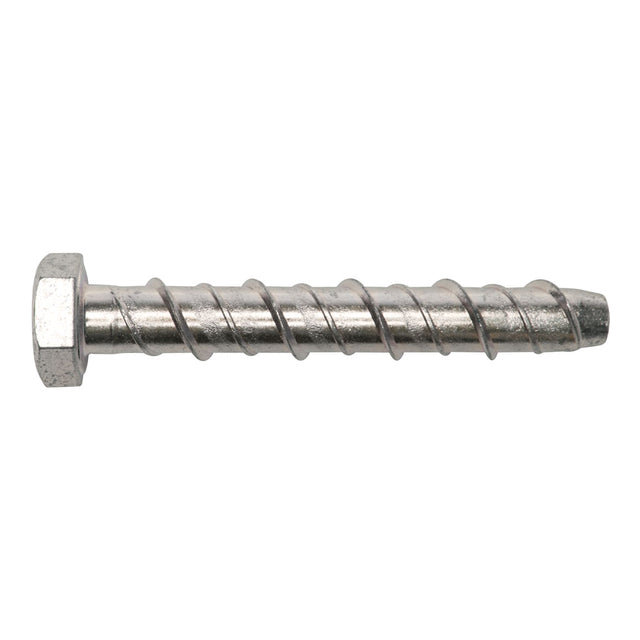 M6 x 50 Serbolt Hex Concrete Bolt Concrete Bolt  - 100 box qty