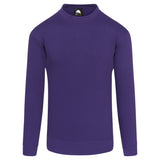 Orn Kite Sweatshirt - Purple