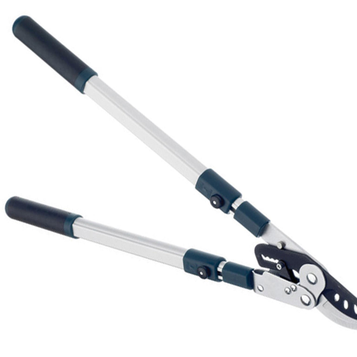 Bulldog BD3113TW Evergreen Extending Bypass Loppers – Frasar Direct