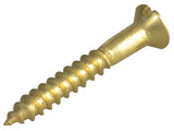 ForgeFix Wood Screws, Slotted, RAH, Brass, ForgePack