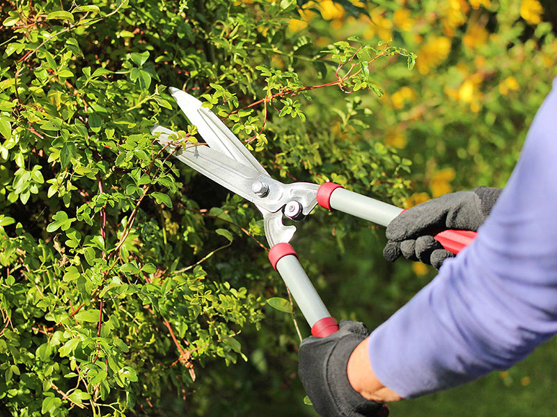 Kent & Stowe General Purpose Hedge Shears