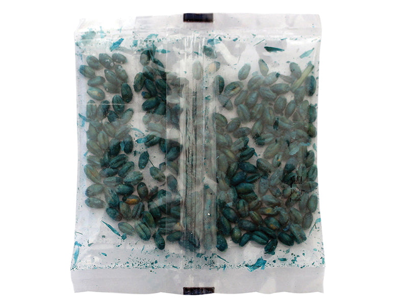 Rentokil Mouse Killer Grain Bait