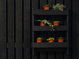 Ronseal Fence Life Plus+