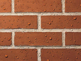 Ronseal Thompson's One Coat Water Seal