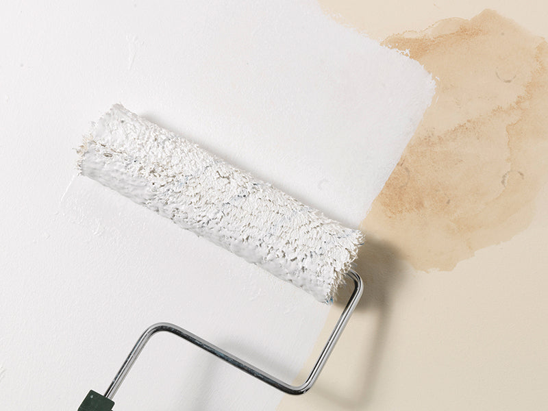 Zinsser Bulls Eye® 1-2-3 Plus Primer, Sealer & Stain Killer